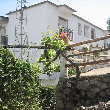 Alojamiento Rural Mirador Del Avellano 阿尔普哈拉德拉谢拉 外观 照片